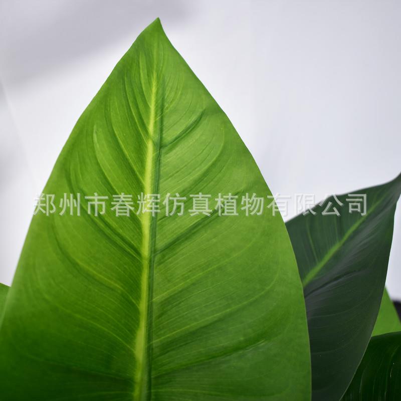 厂家直供仿真马蹄莲盆栽仿真马蹄莲树假马蹄莲定制玫红色马蹄莲