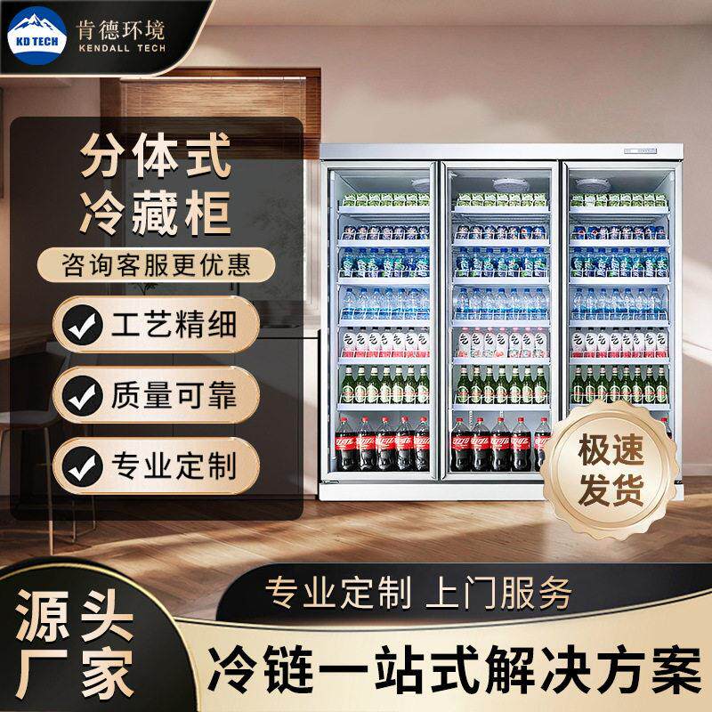 饮料冷藏展示柜来图定制冷柜连锁便利店生鲜超市餐饮商用保鲜冷柜