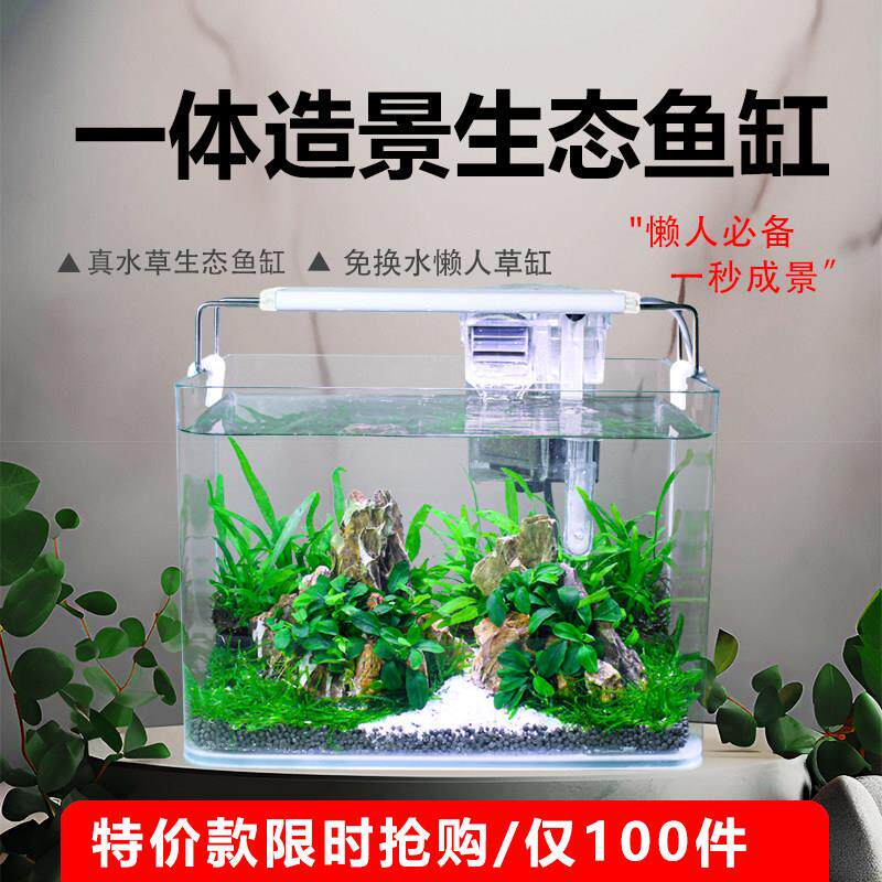 小型热弯真水草一体造景全套玻璃鱼缸家用桌面客厅生态免换水鱼缸
