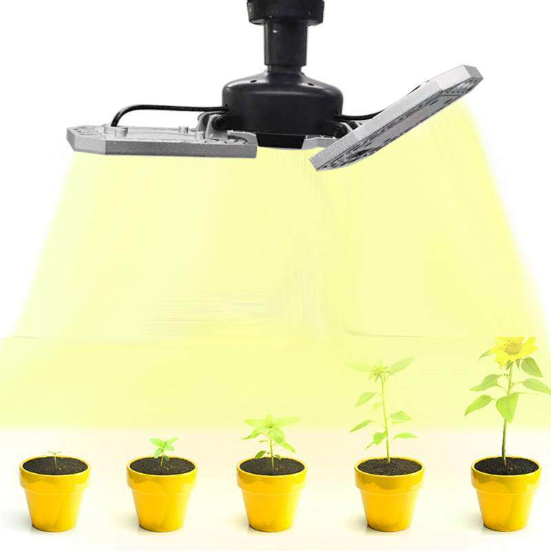 感跨新款led植物灯多面照射防XQW水光大棚全光谱L境ED植物长补光