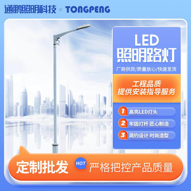 LED市电道路灯城市主干道乡村市政工程太阳能led路灯led单臂路灯
