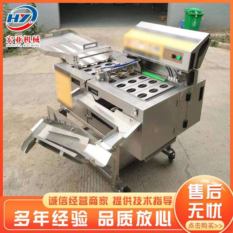 三排商业蛋壳分离机工业蛋清蛋黄分离机敲蛋机鸭蛋蛋壳分离机