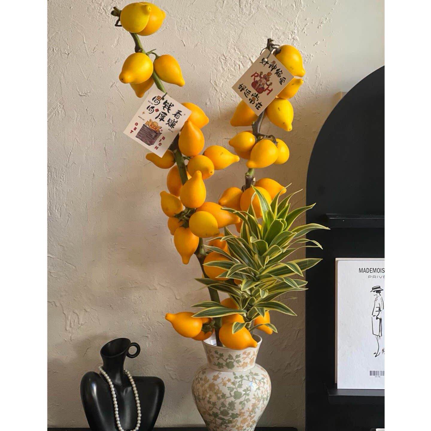 年宵花鲜花北美冬青红色银柳五代果澳梅瓶插花家用鲜花插花真花