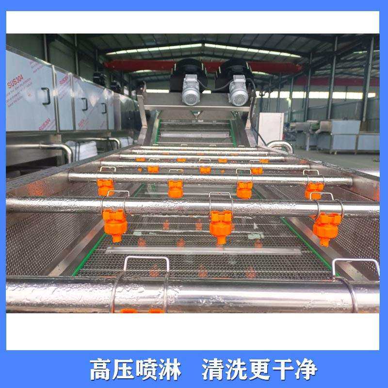 毛豆果蔬气泡清洗机 全自动酸菜脱盐机 辣椒喷淋全能气泡清洗设备