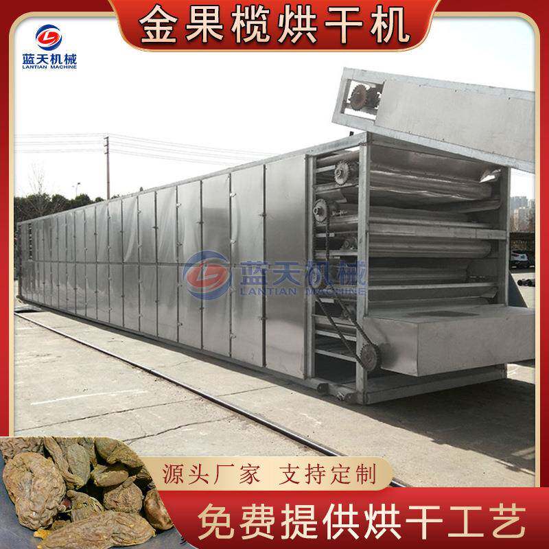 金果榄烘干机全自动链条金古榄苦地胆烘干设备网带金牛胆干燥机