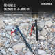 户外加粗野营帐篷钢钉地钉30CM加长沙滩天幕防风固定营钉地桩十根