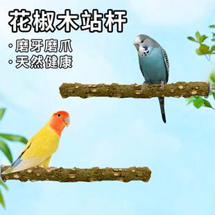 鹦鹉花椒木站杆吸盘站架子站棍磨爪玄凤虎皮专用鸟用墙面玻璃站台