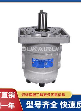 合肥长源液压齿轮泵CBTD-F425/F426.5/F430/F432-ALPL/AFPL/ALH4L