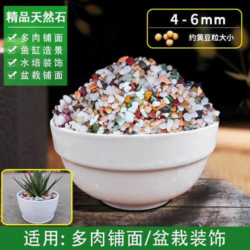 雨花石小石子鹅卵石盆栽养花粗沙