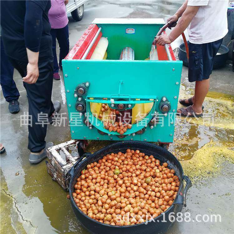 青核桃剥壳机薄皮核桃脱皮机1000青皮核桃去皮机