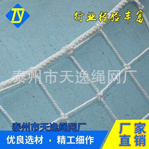 天逸涤纶防坠网 厂家直销高空作业防护吊网 尼龙绞制绳吊网