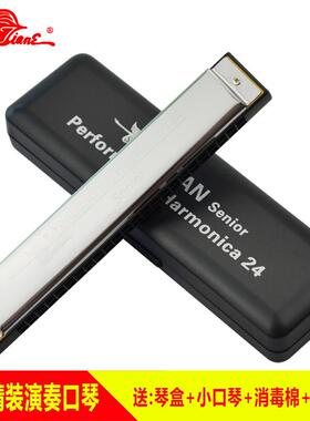 天鹅24孔口琴A/B/C/D/E/F/G/#降/调成人初学专业演奏复音口琴12调