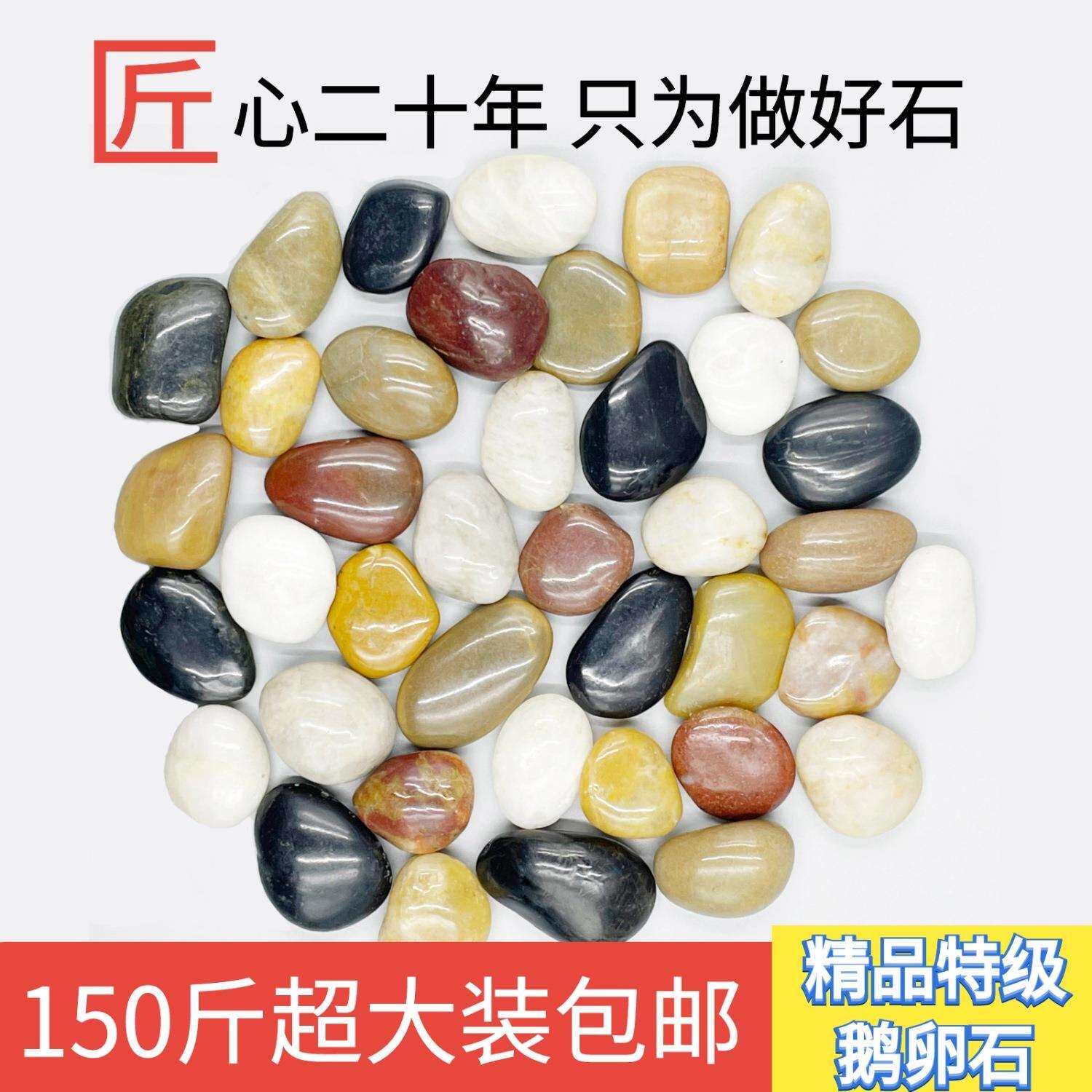 雨鹅石铺路精品花盆738大小石头铺卵庭院地石子园花林天然造景石