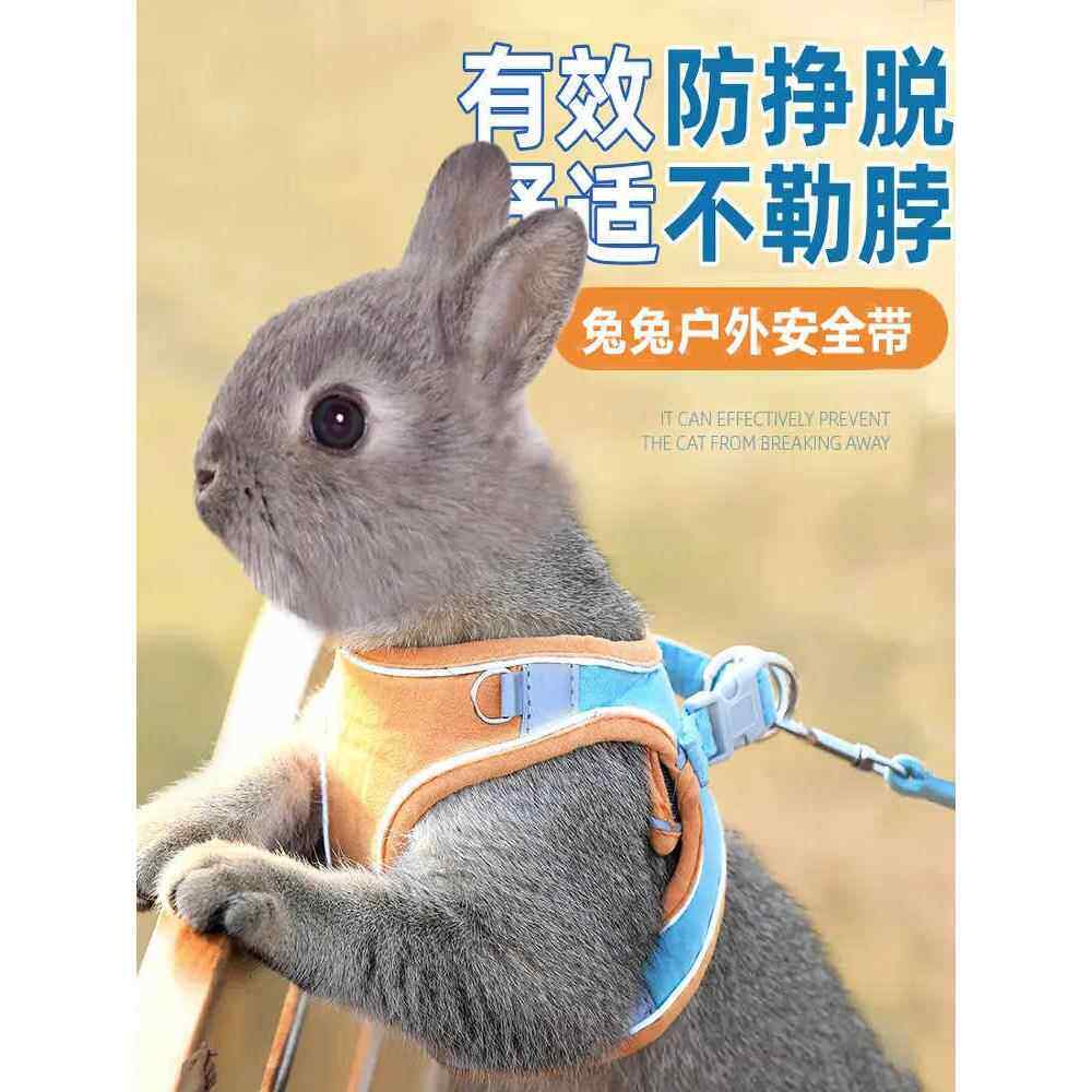 兔子牵引绳防挣脱遛小兔子专用神器背心式可伸缩外出的衣服溜绳子