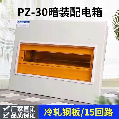 国标家用PZ30回路箱明装空开 箱暗装强电箱大小体工地开 关配电箱