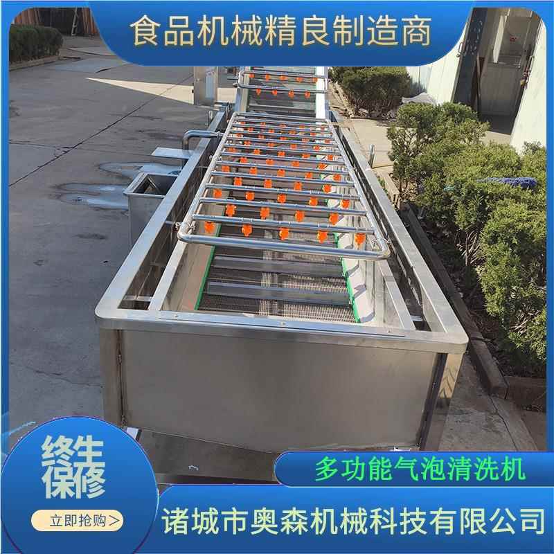 工罐家头20220205厂水蜜桃清洗机定制 黄皮果气泡喷清洗加流水线