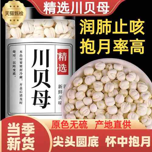 川贝母中当季新货原色无硫抱月率高四川野生川贝母
