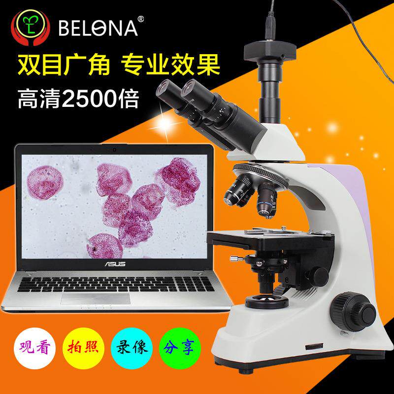 贝朗 2500倍专业生物双目显微镜显示屏高清视频科学实验颗粒藻类