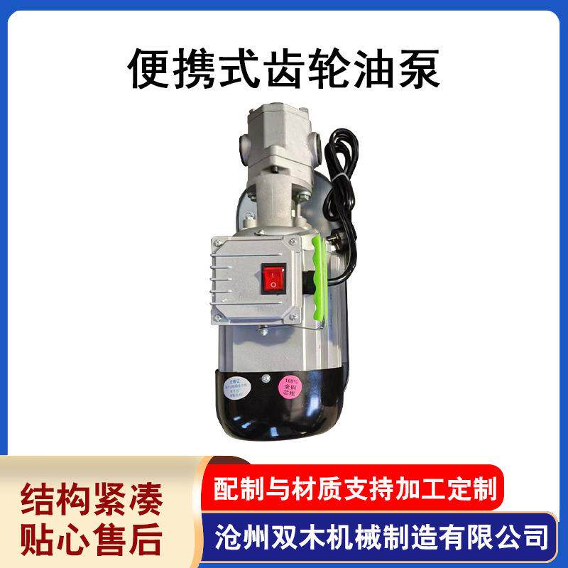 便携式齿轮油泵小型电动抽油泵柴油机油自吸齿轮泵小型不锈钢泵