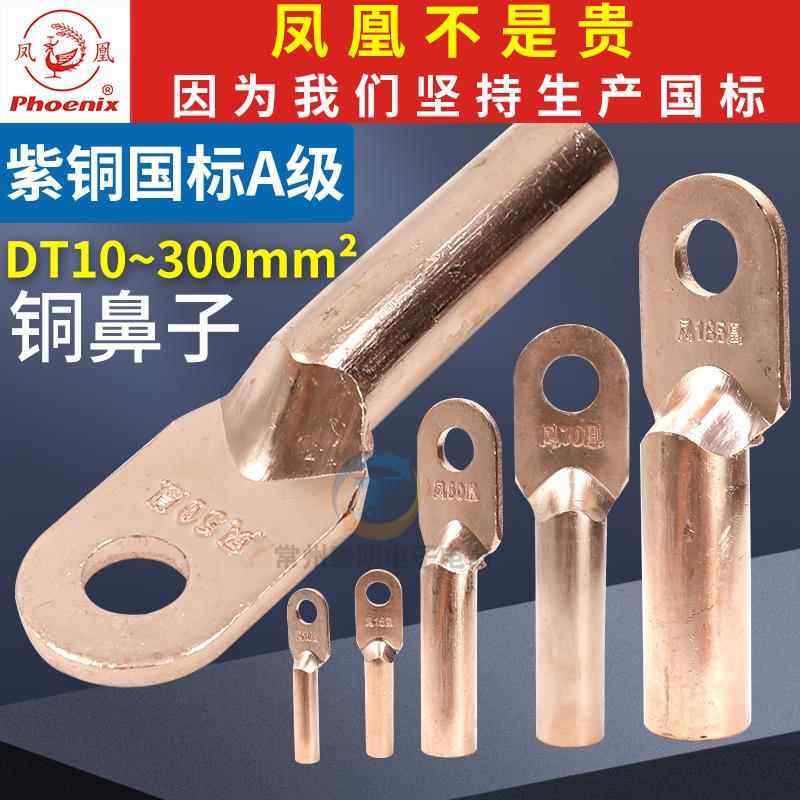 凤凰国标铜鼻子DT接线端子堵油式10接头压电线电工紫铜鼻头16平方,电子/电工,接线端子,淘宝优惠券,粉丝福利购,淘宝优惠卷