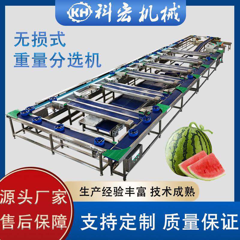 山东厂家无损重量分选机水蜜桃西瓜秋月梨无损式重量分选智能分拣