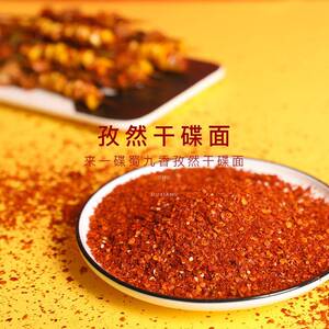 蜀九香火锅蘸料干碟辣椒面 面辣椒粉孜然味烧烤蘸料72g四川麻辣调