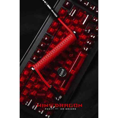 Wins客制化  OG WORKS（烛龙）＆ win shop 键盘航插线 螺旋线8k