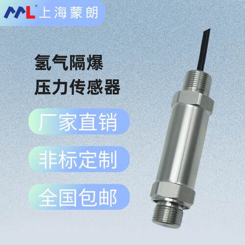 测量氢气隔爆压力传感器0-60MPa高压氢气防爆压力变送器4-20mA485