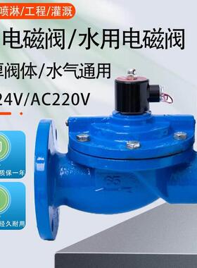 DF铸铁法兰电磁阀水用电磁阀先导式电磁阀DN40 50 65 80 100 150