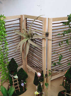 创意鸟巢小鸟摆设摆件自然角幼儿园植物角微景观家居花园橱窗布置