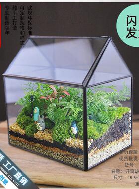 生态瓶苔藓创意微景观桌面盆栽青苔造景缸植物办公室绿植玻璃花房