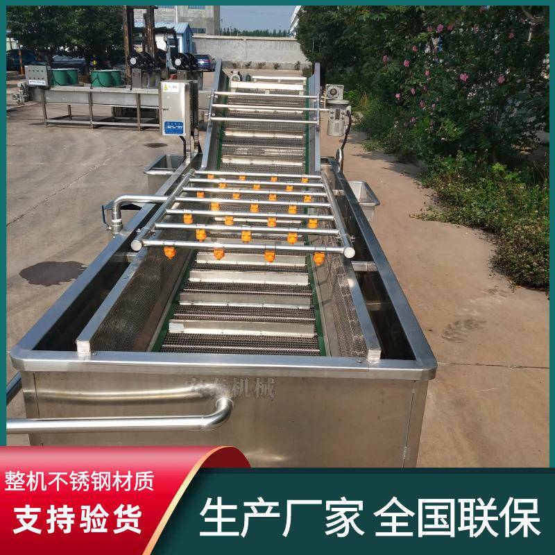 果蔬气泡清洗机 专业生产蔬菜加工设备 蚕蛹高压喷淋气泡清洗机