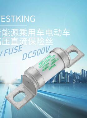 新能源乘用车直流保险丝-500VDC电池包熔断器EV20H500车用高压