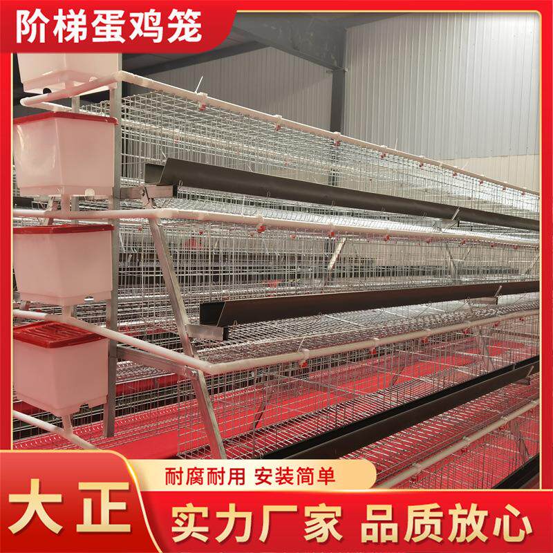 阶梯蛋鸡笼全自动 养殖场蛋鸡笼子 热镀锌鸡笼肉鸡笼 蛋鸡养殖笼