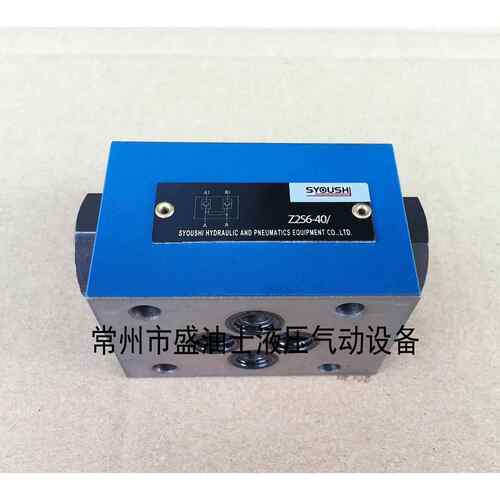 SYOUSHI液压液控单向阀Z2S6-40BZ2S6B-40B现货保压阀质保一年