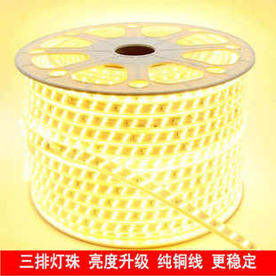 220VLED灯带三排高亮三色变光七彩家用室内客厅吊顶户外防水灯带