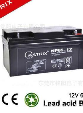 MATRIXNP-6512V65A蓄电池