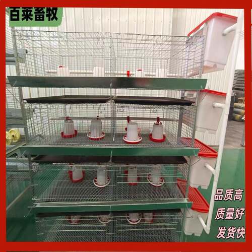 镀锌丝小鸡笼，加密加粗，防锈耐用，为小鸡提供安全防护配件全