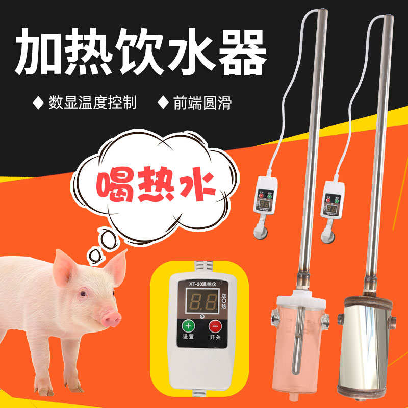 小猪用恒温加热饮水器仔猪保育猪羊用自动加热热水器产床养殖兽用
