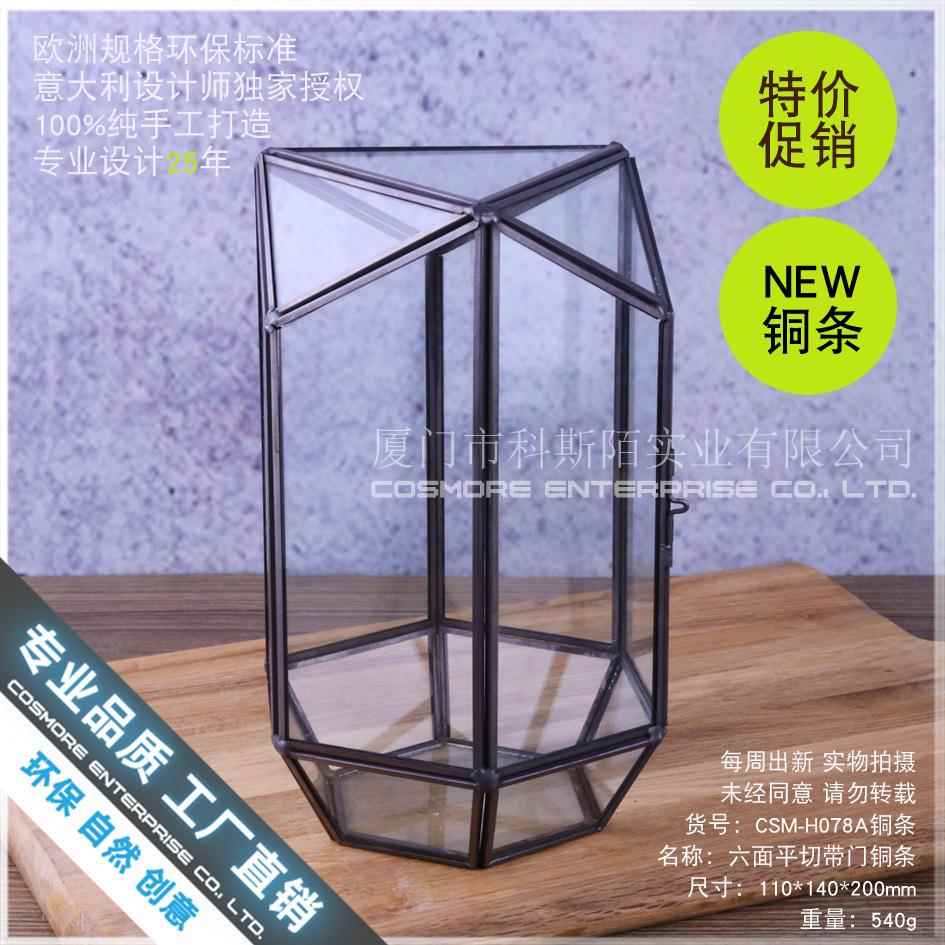 苔微景观器皿玻家居藓摆件璃花房多肉植生物不规则CSM-H078永花花