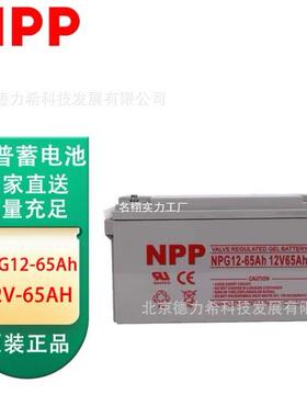 NPP耐普蓄电池12V6H NPG12-6h 太阳能光伏发电路灯胶体蓄电池
