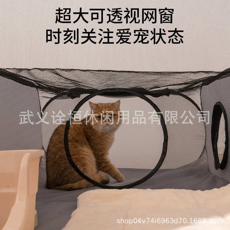 新款猫包外出便携猫狗全景笼子猫咪箱手提斜跨扩展大号宠物包