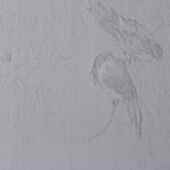 高精密素色提花无缝墙布K501 墙纸墙布 酒店客厅卧室背景墙布