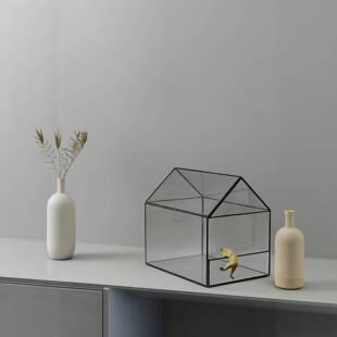 微型雨林Y缸艺DI玻微景园观多肉花盆DAT璃养花器盆景盆花房花器