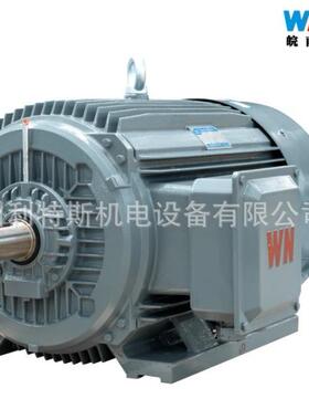 现货销售皖南电机YE3-100L-6三相电机1.5WB3卧式直连安装