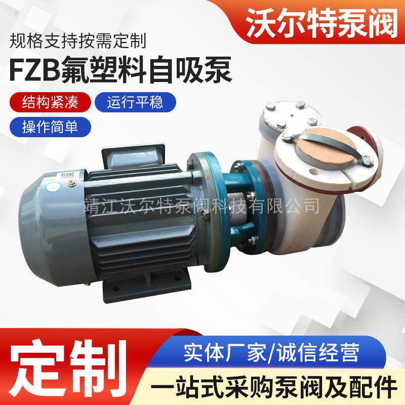 50FZB-25L氟塑料化工自吸泵防爆自吸泵FZB氟塑料自吸泵