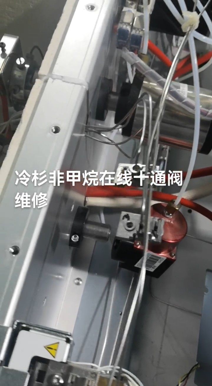 vocs非甲烷在线十通阀维修