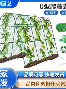 园艺拱形弯管竹竿子搭架菜园温室大棚暖房爬藤支架遮阳U型支架