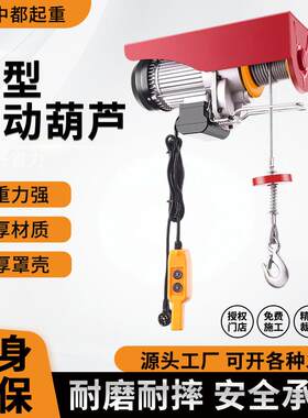 微型电动葫芦PA200PA00家用微型电动葫芦快速慢速小吊机微电葫芦
