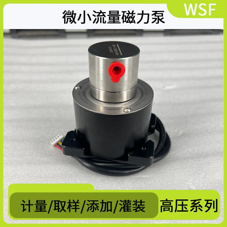 WSF磁力驱动泵微小流量高压力齿轮泵电解液甲醇制氢泵循环自吸泵